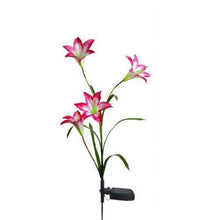 Load image into Gallery viewer, Lovely Lily Solar Powered LED Lights