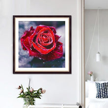 Load image into Gallery viewer, FALSE