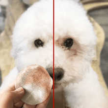 Load image into Gallery viewer, Happy Pawsome® Tear Stain Wipes (100 pcs set)
